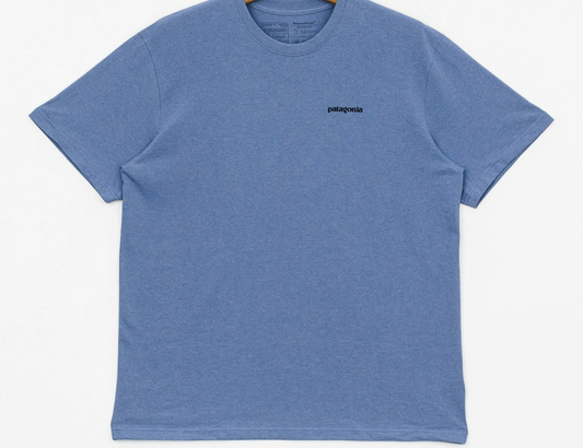 Homme P-6 Logo Responsibili-Tee Woolly Bleu