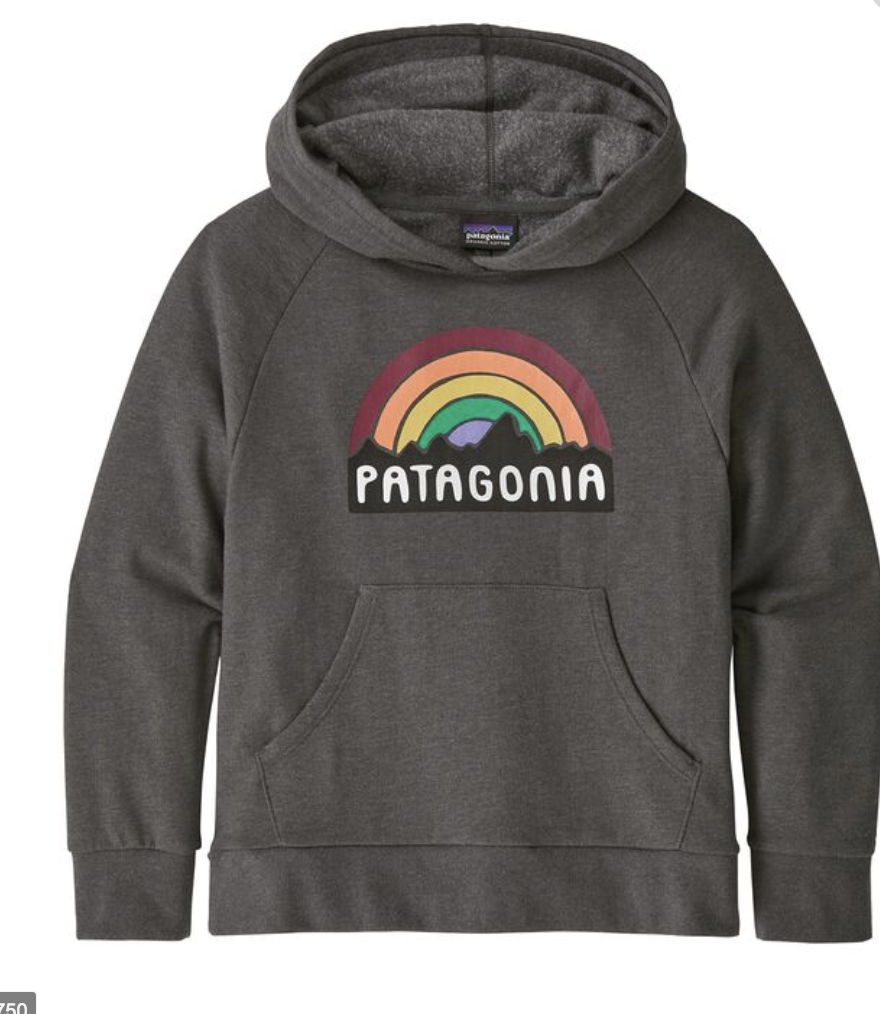 Enfant Lightweight Fitz Roy Rainbow Hoody-Patagonia-Bearco.fr