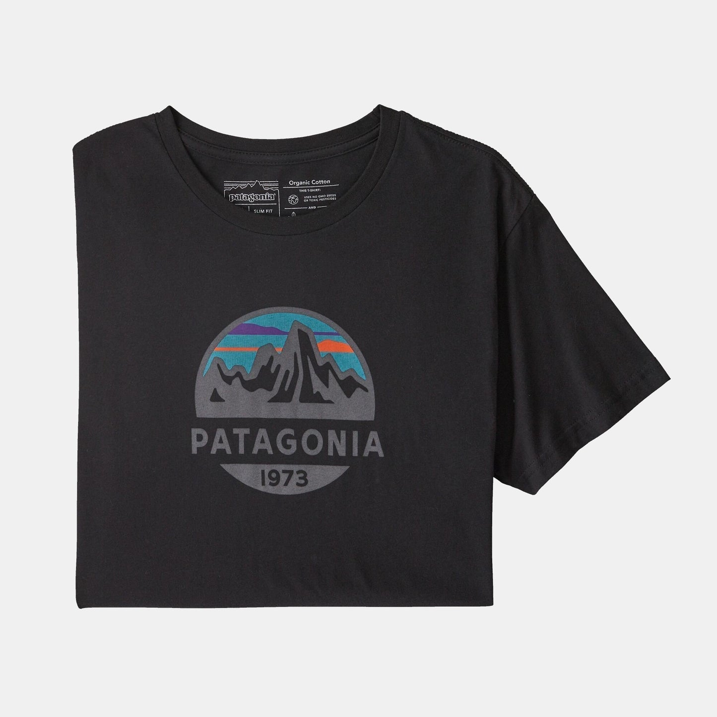 Homme Fitz Roy Scope Organic Cotton Tee-Patagonia-Bearco.fr