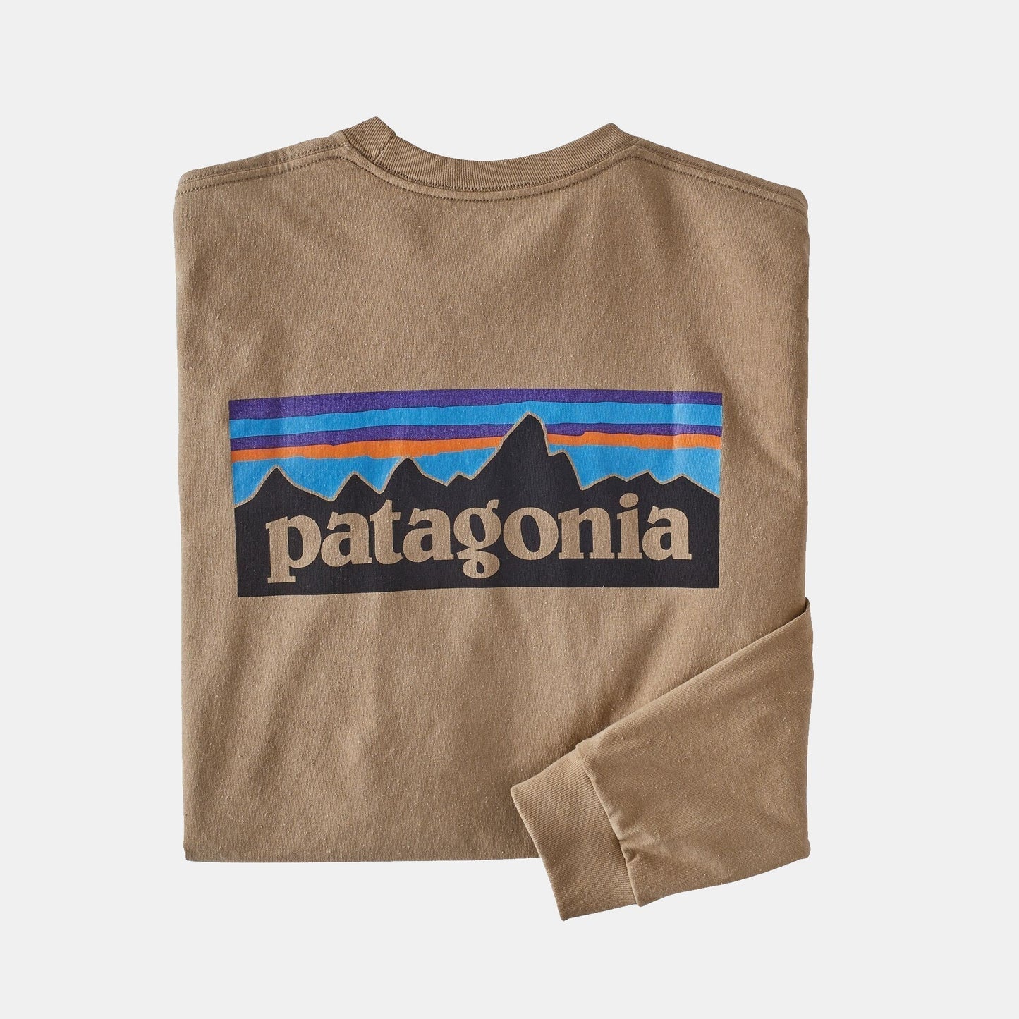 Homme Logo Responsibili-Tee-Patagonia-Bearco.fr