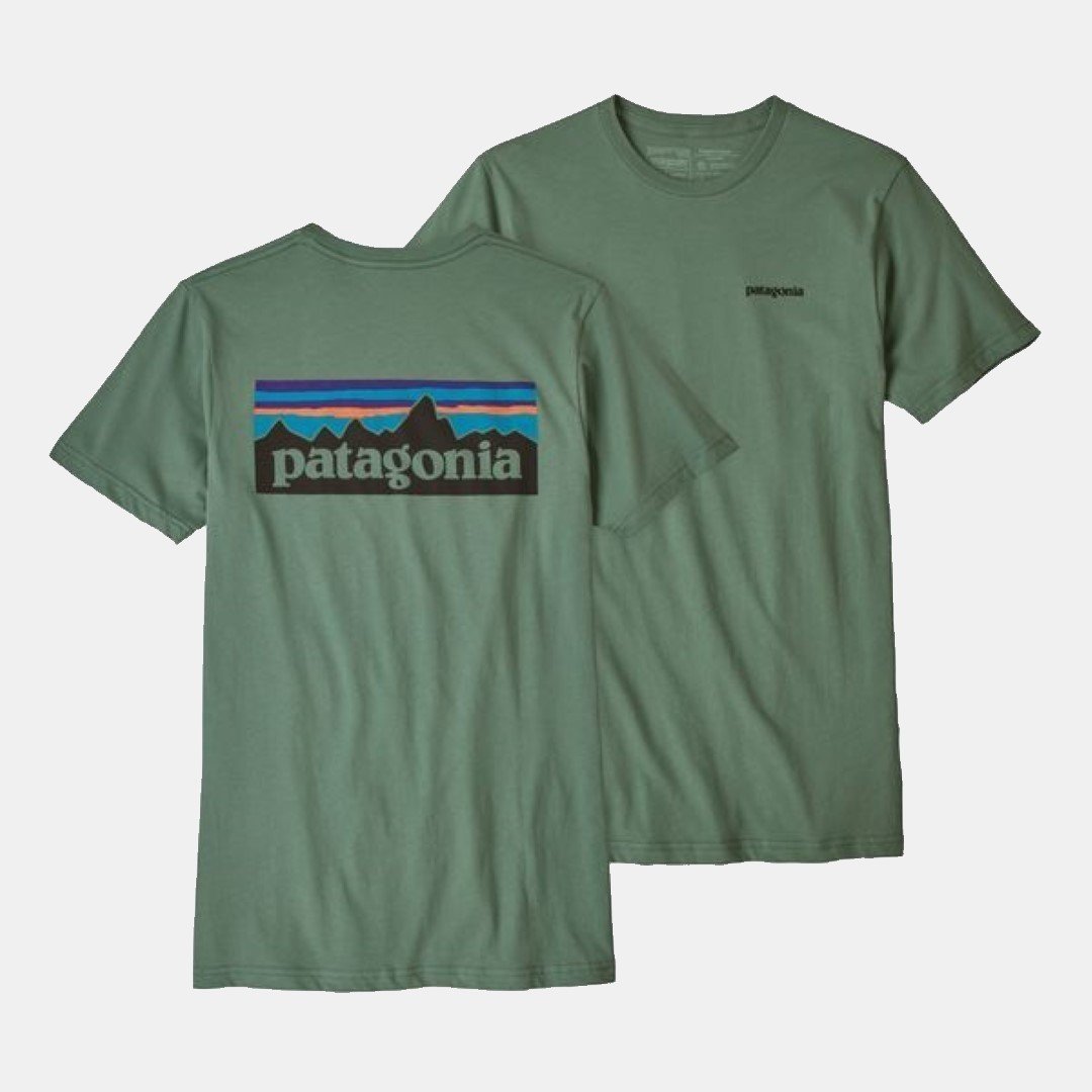 Homme P-6 Logo-Patagonia-Bearco.fr