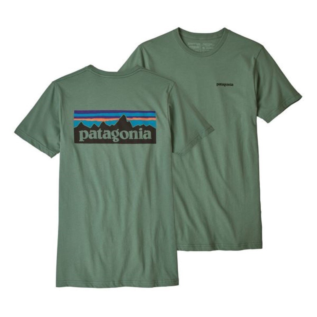 Homme P-6 Logo-Patagonia-Bearco.fr