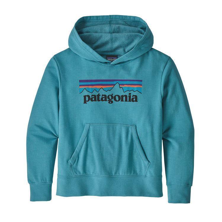 Kids Lightweight Graphic Hoodie Sweatshirt-Patagonia-Bearco.fr