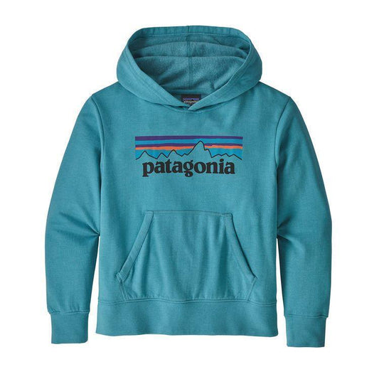 Kids Lightweight Graphic Hoodie Sweatshirt-Patagonia-Bearco.fr